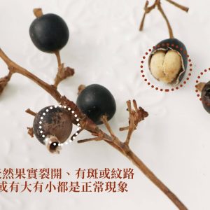 安全圖 _黑莓果