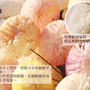 安全圖 拷貝_乒乓菊
