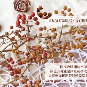 安全圖2_山歸來 拷貝