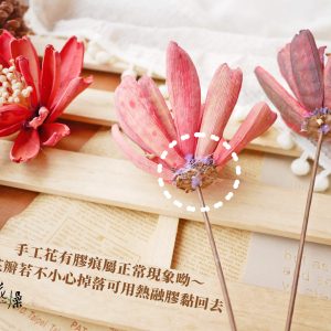 安全圖_令箭荷