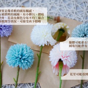 安全圖_仿真蒲公英 拷貝