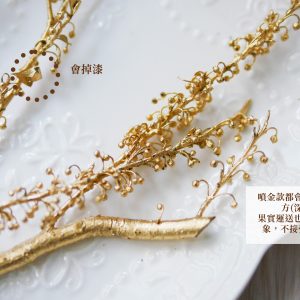 安全圖_噴金胡椒果 拷貝