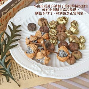 安全圖_小南瓜 拷貝