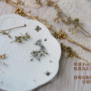 安全圖_小米果 拷貝