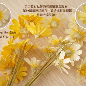 安全圖_小雛菊瓜子花 拷貝