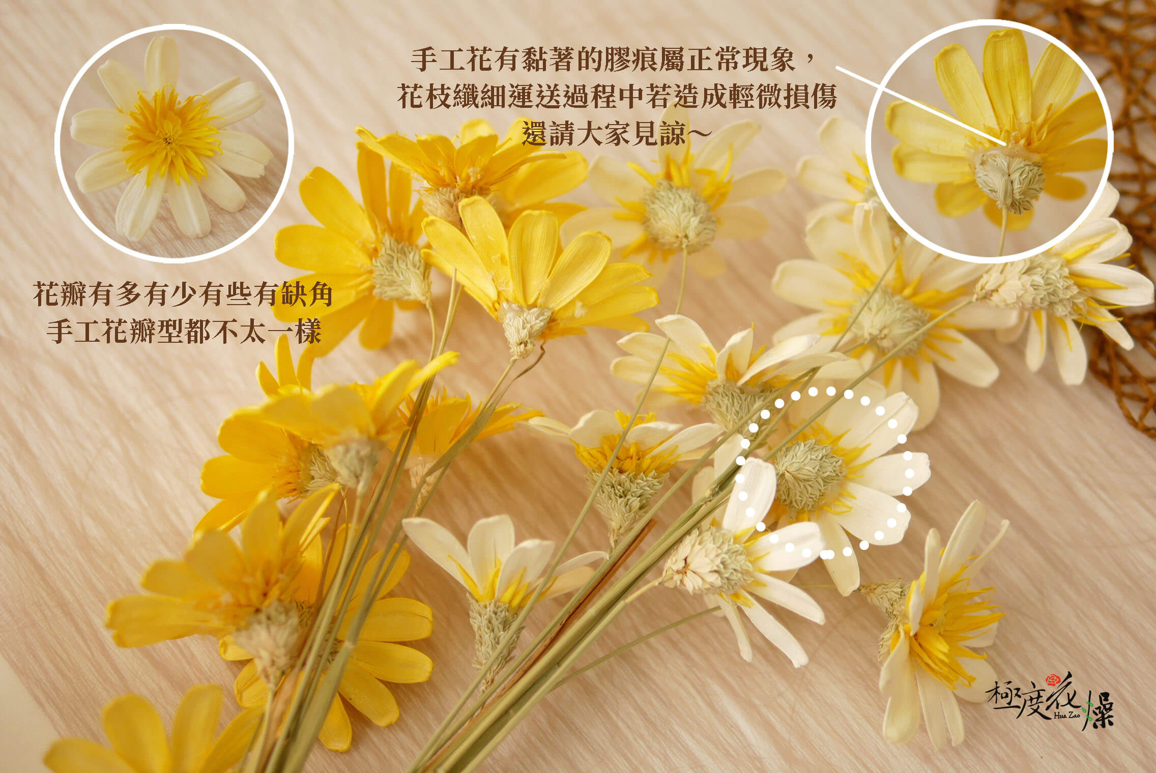 安全圖_小雛菊瓜子花 拷貝