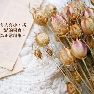 安全圖_整包黑種草果實 拷貝