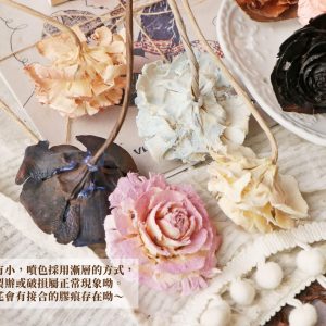 安全圖_杉玫瑰32