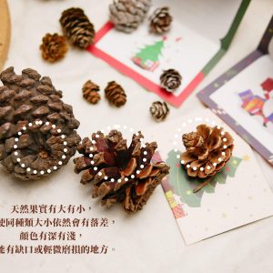 安全圖_松果 拷貝