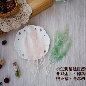 安全圖_永生刺藜 拷貝