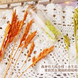 安全圖_永生燕麥