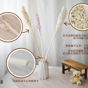 安全圖_永生高粱 拷貝