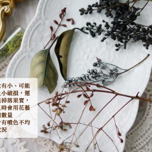 安全圖_永生黑冬青果 拷貝