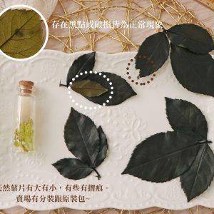 安全圖_玫瑰葉 拷貝