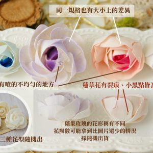 安全圖_糖果玫瑰 拷貝