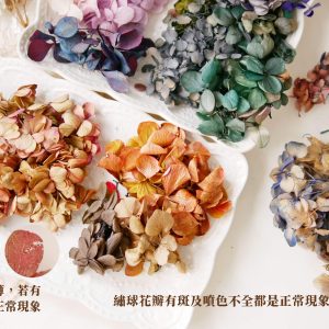 安全圖_綜合繡球 拷貝