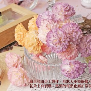 安全圖_通草康乃馨