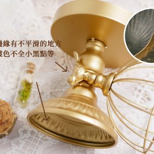 安全圖_金屬鳥籠花器 拷貝