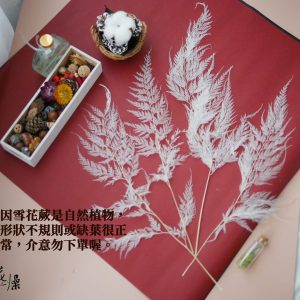 安全圖_雪花蕨 拷貝