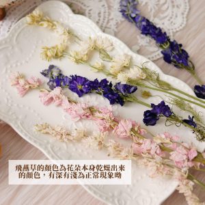 安全圖_飛燕草 拷貝