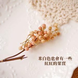 安全補_巴西胡椒果
