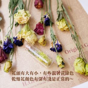 安全詞 _乾燥桔梗
