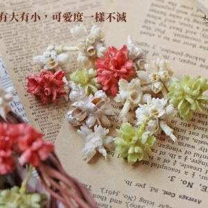 安全詞 _爆米花