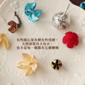 安全詞 _開心果