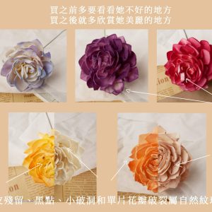 安全詞_大理花