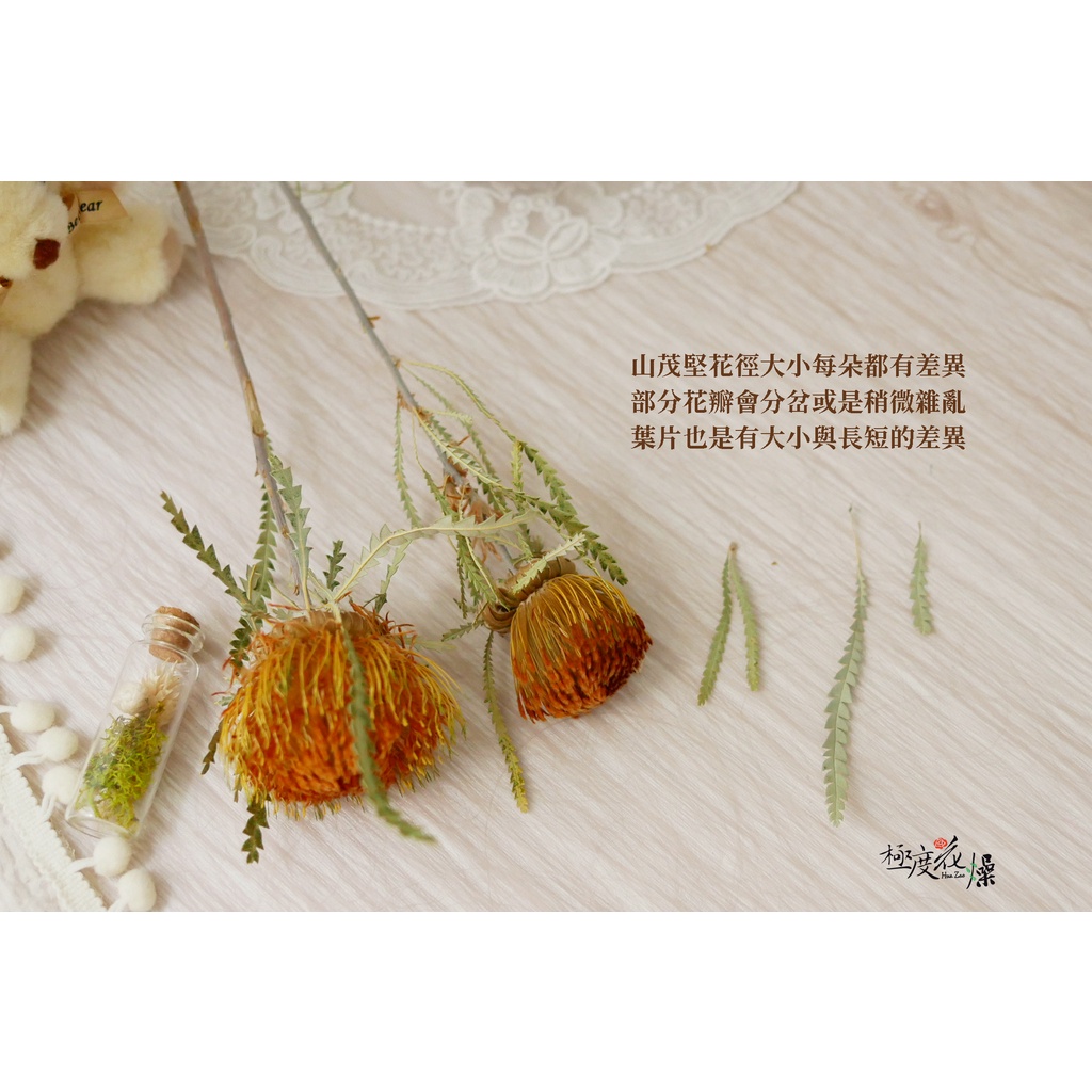 安全詞_山茂檻