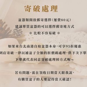 寄破拷貝_石頭盆