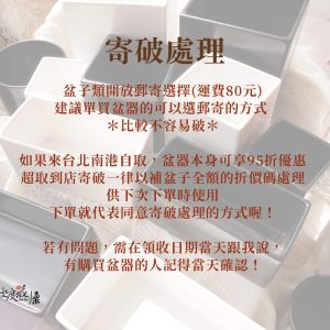 寄破處理_簡約陶瓷盆