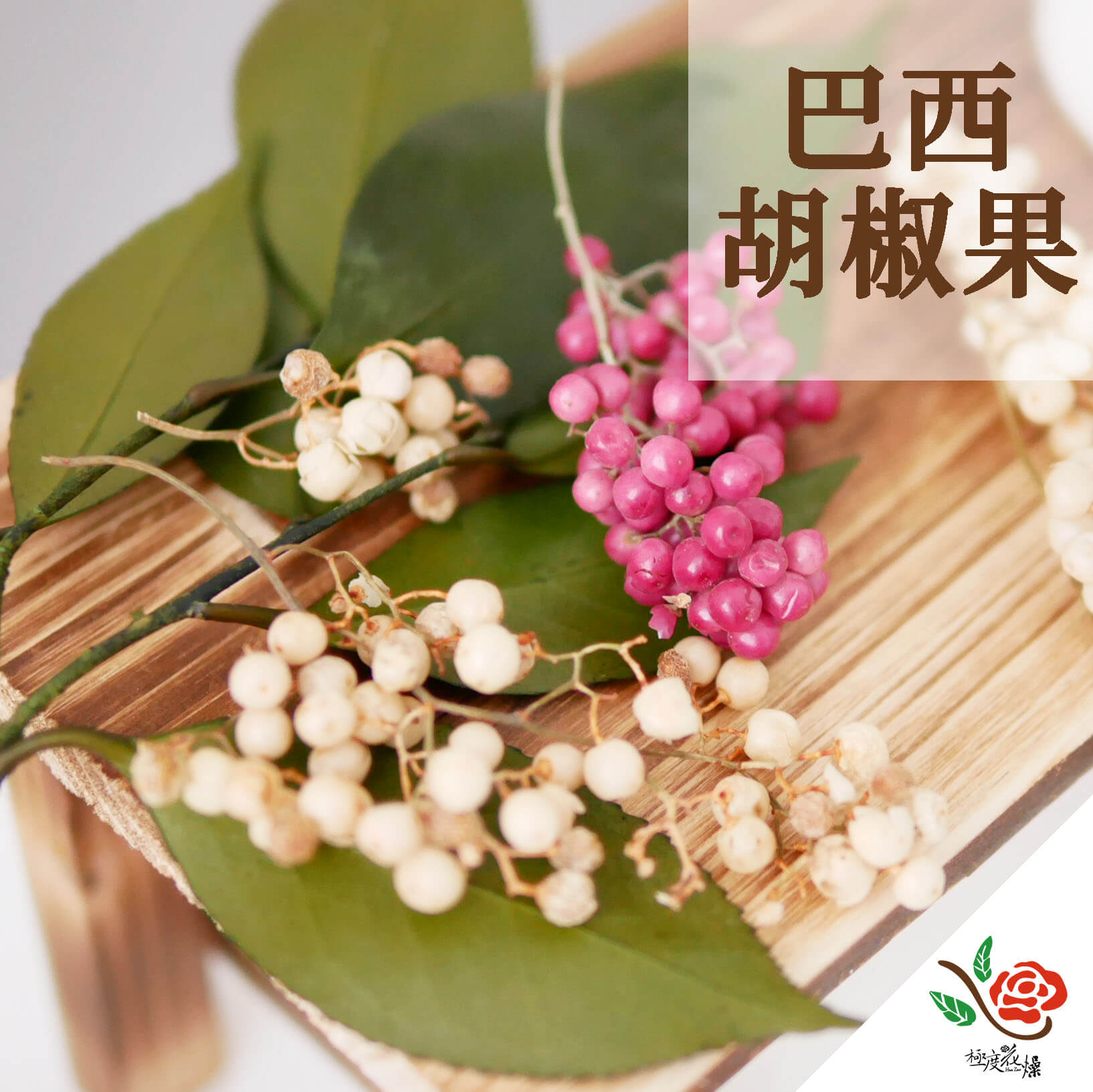 封面_巴西胡椒果