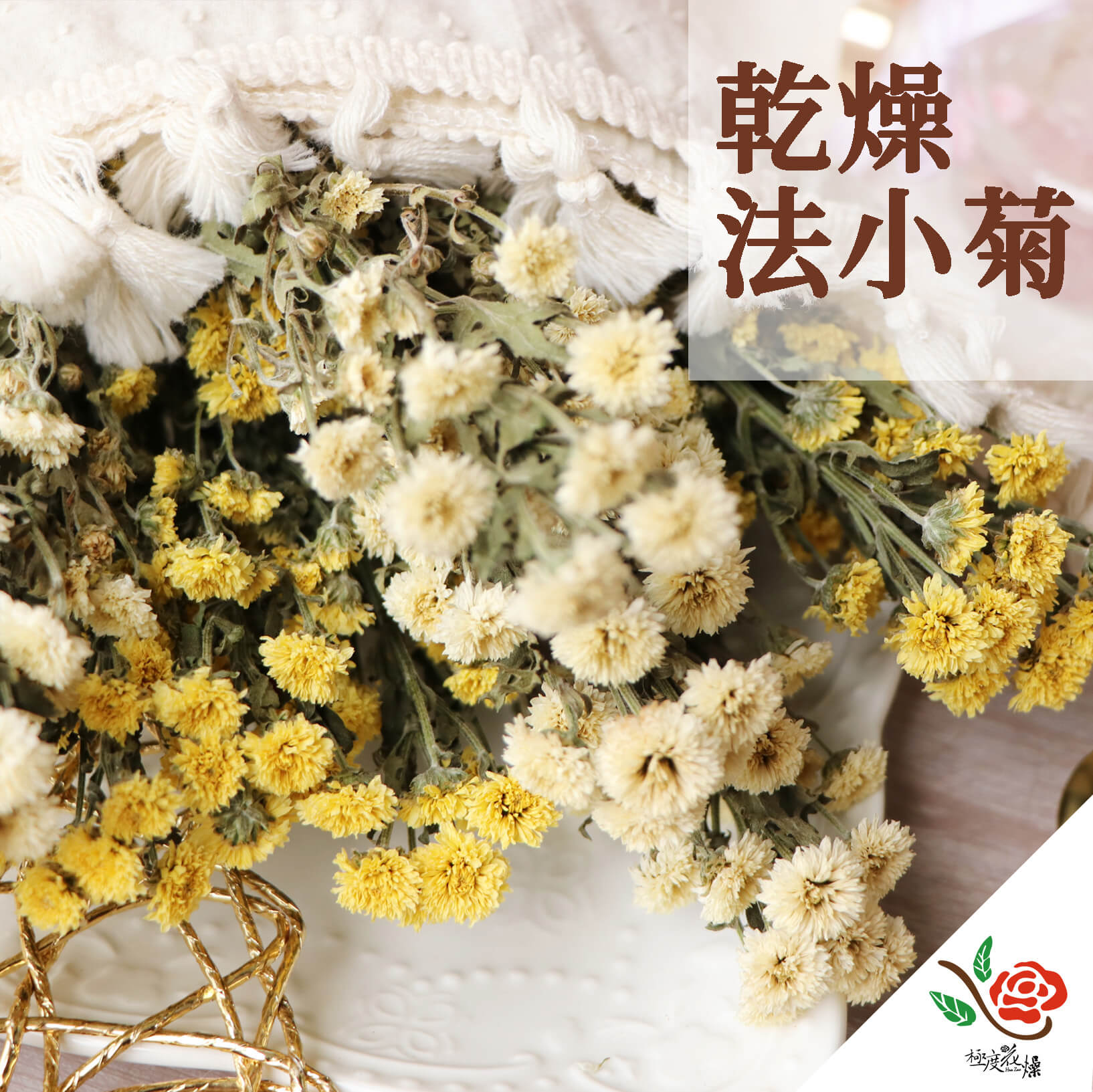 封面_乾燥法小菊