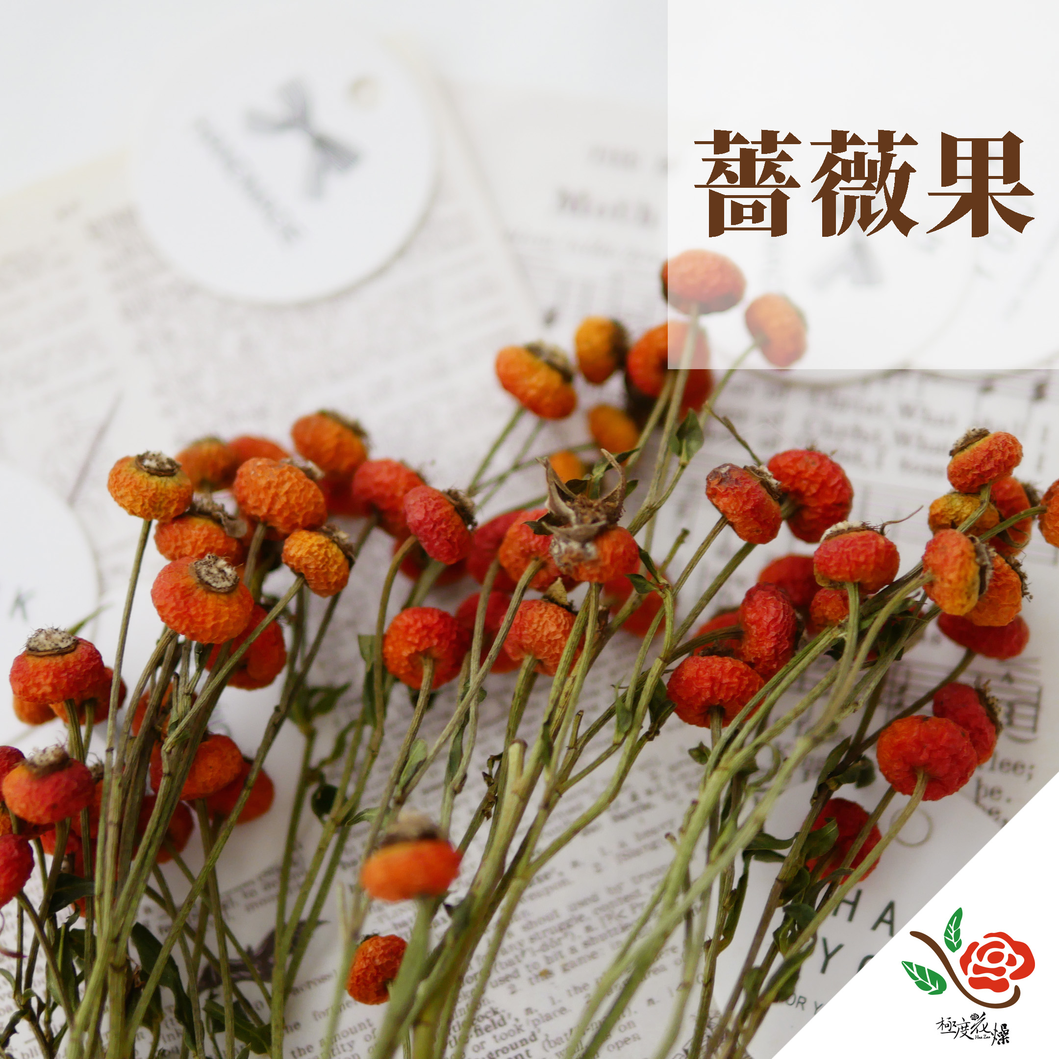 封面_薔薇果 拷貝