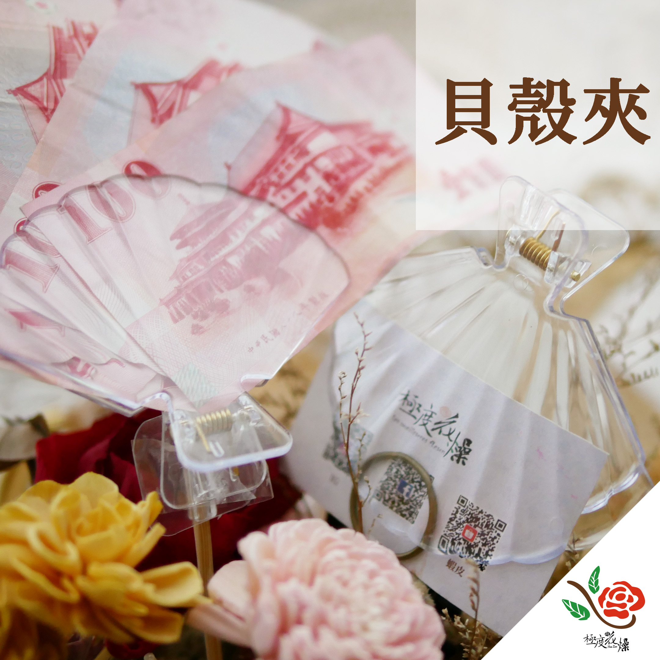 封面_貝殼夾 拷貝