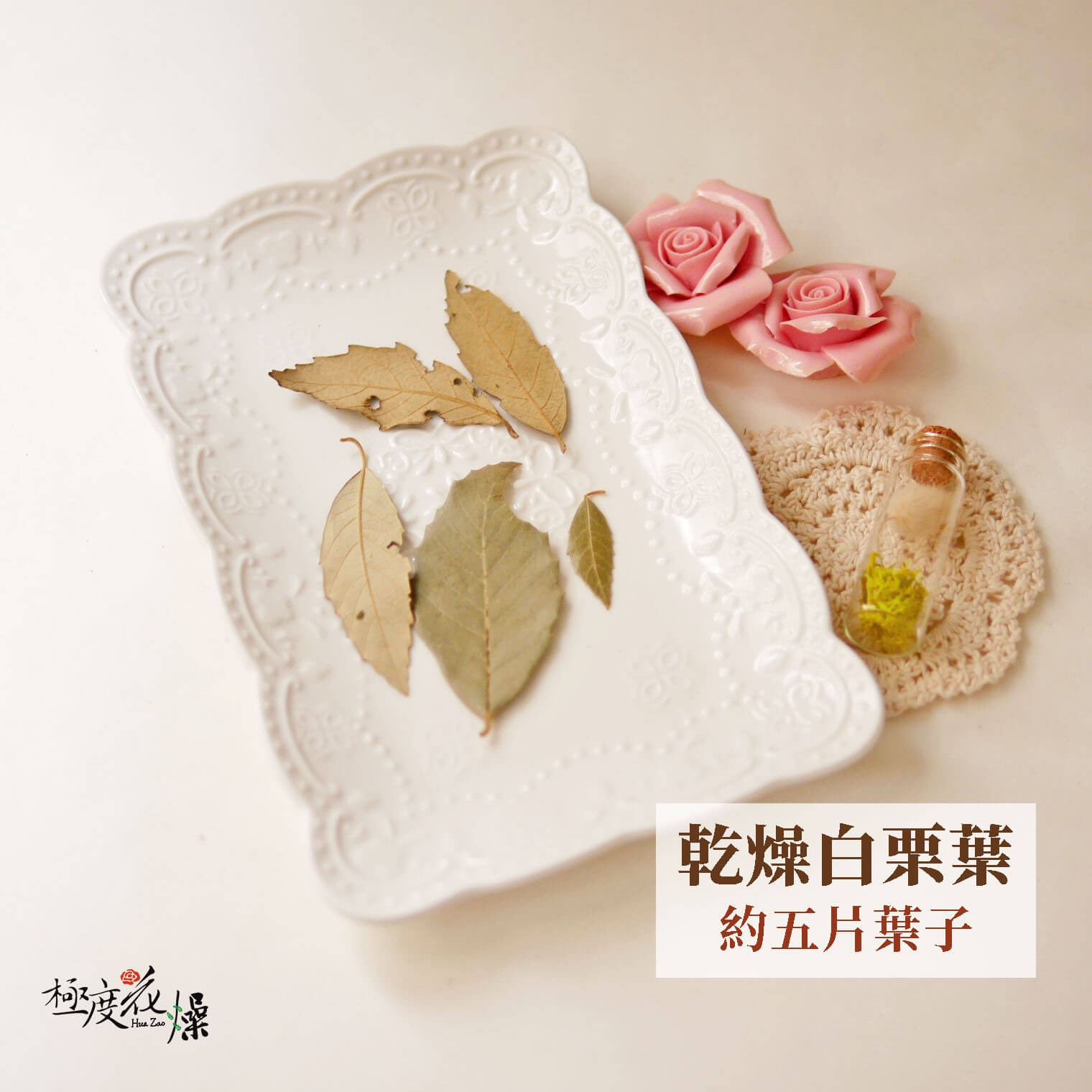 小乾燥_白栗葉 拷貝3421