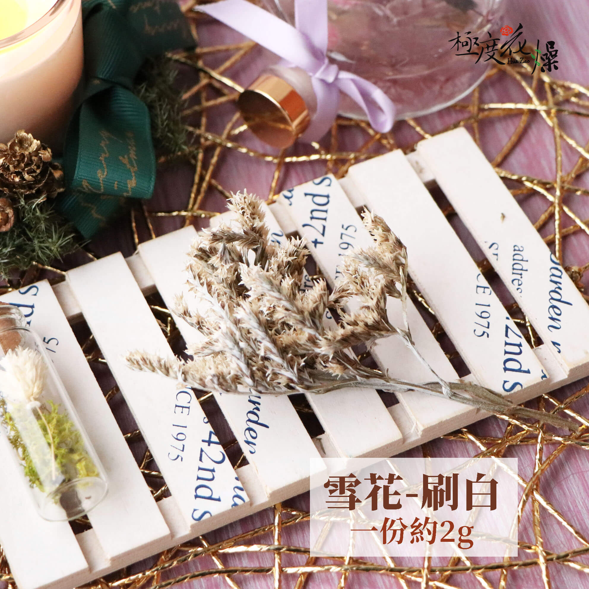 小刷白_雪花