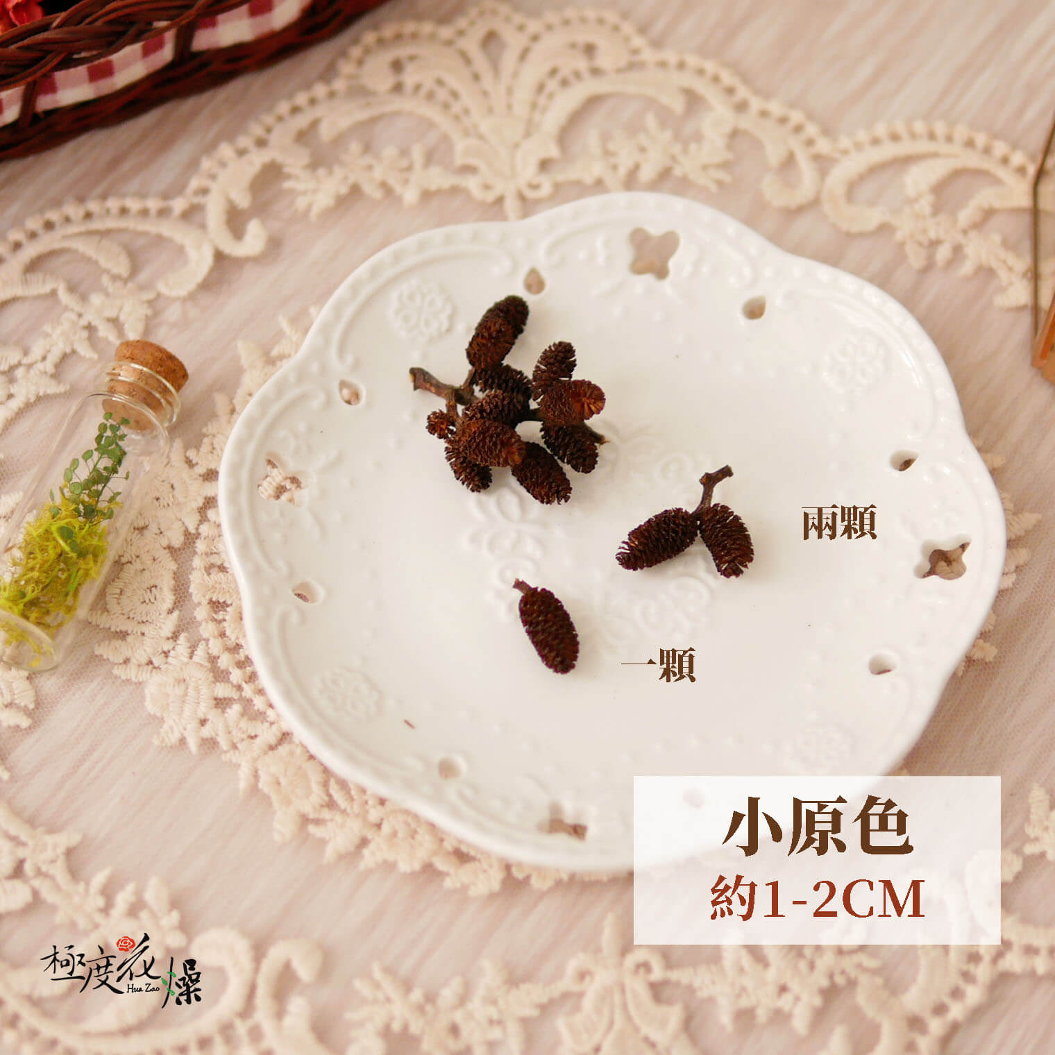 小原_水楊子 拷貝
