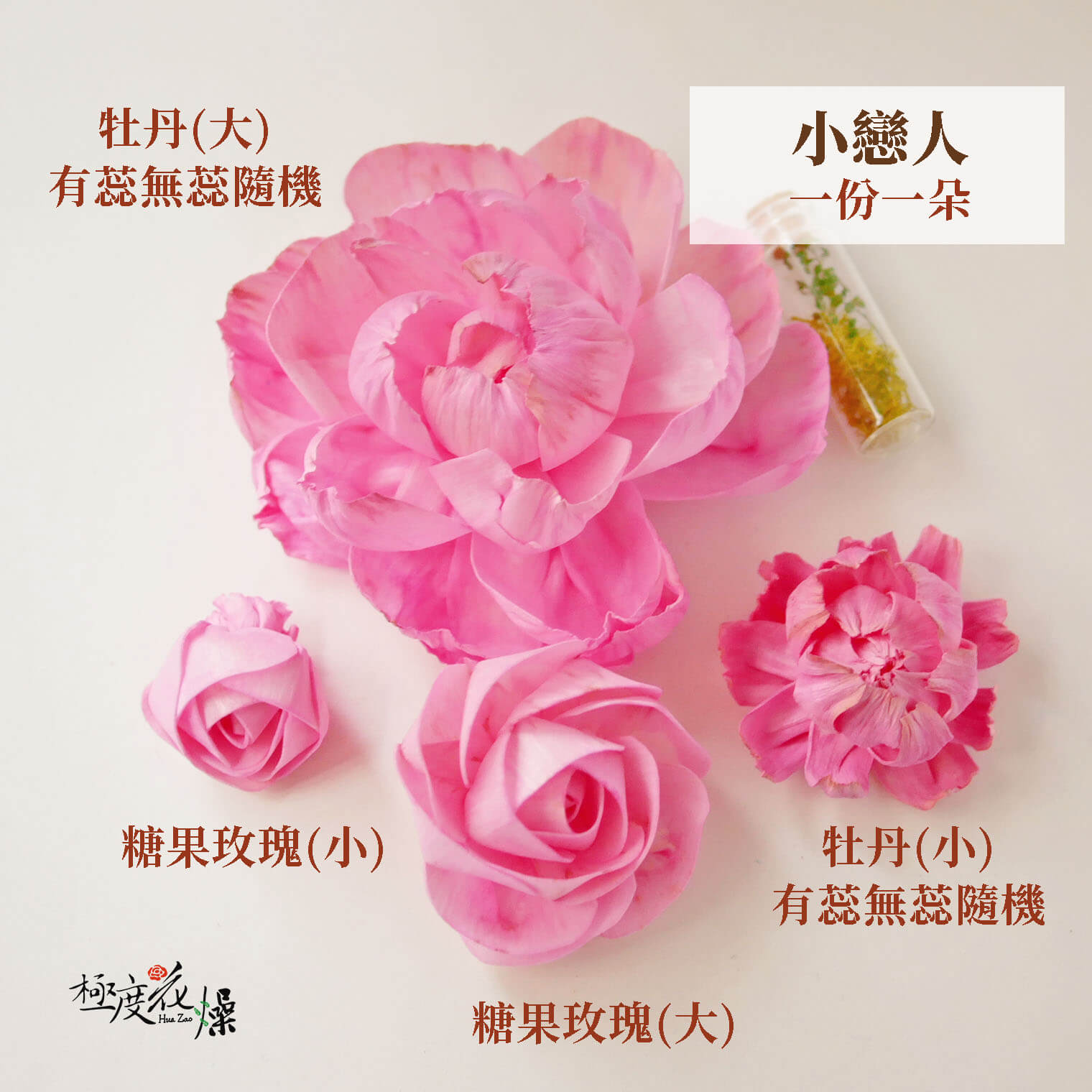 小戀人_水染蓪草花