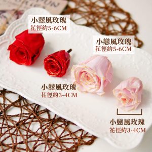 小戀風規格_小香風玫瑰 拷貝