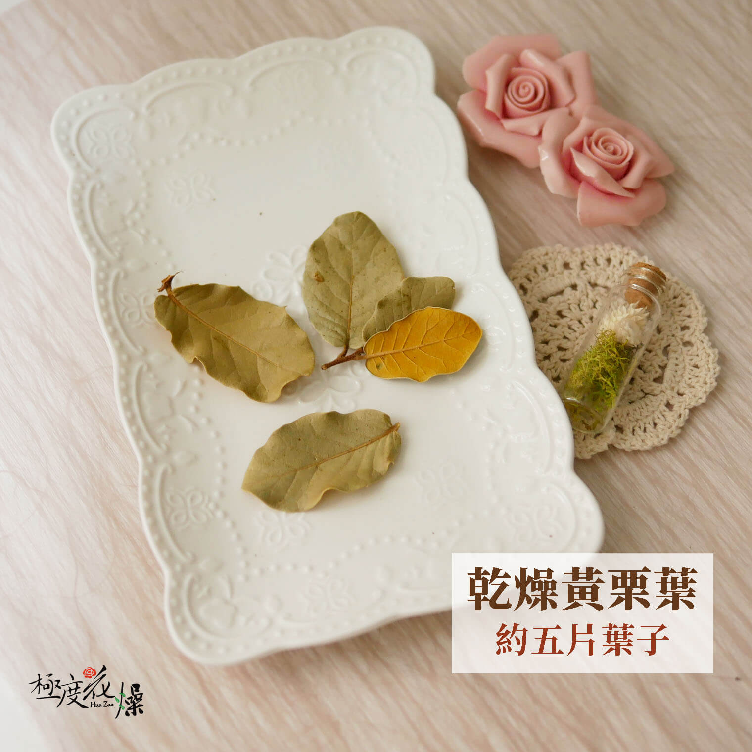 小黃栗_白栗葉 拷貝3421