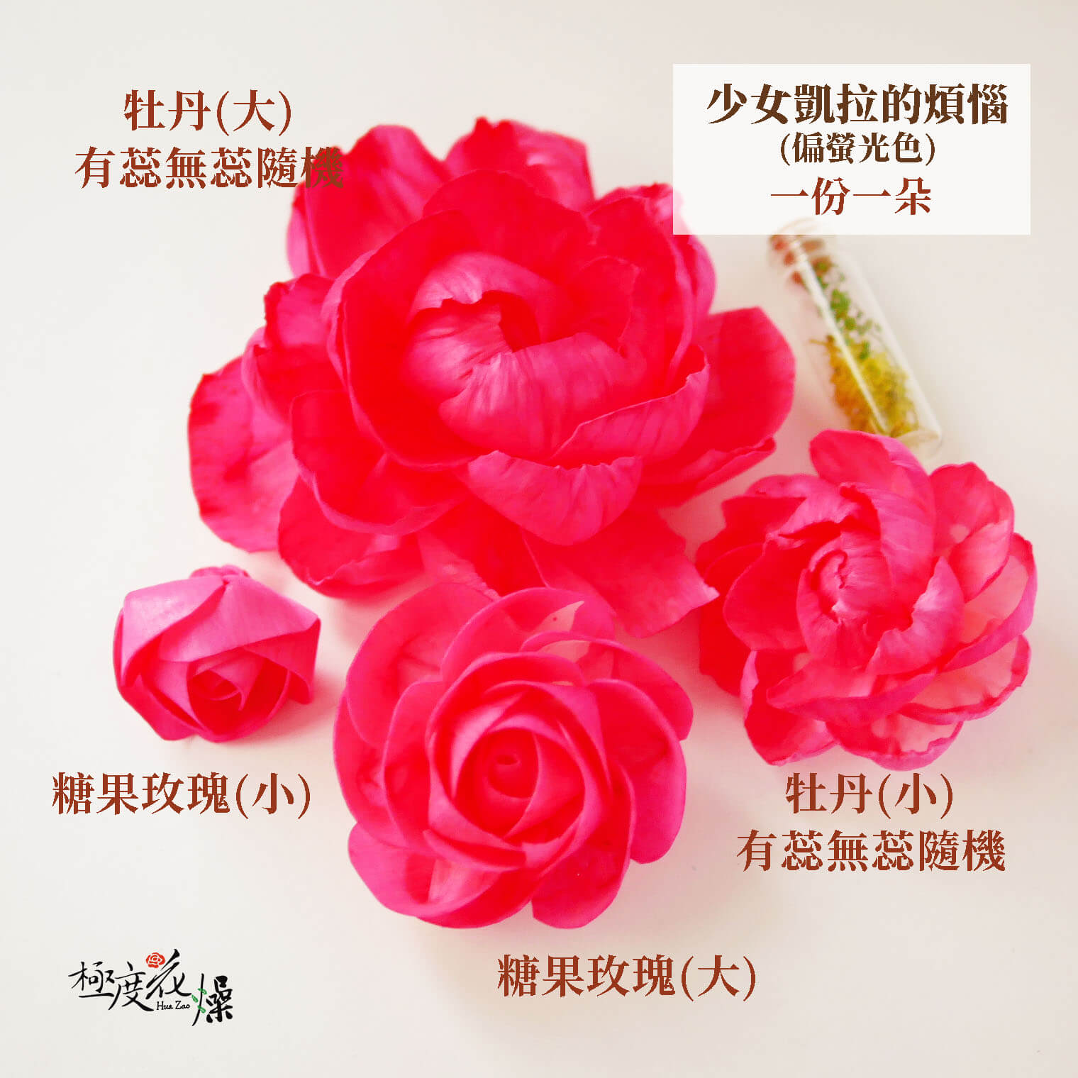 少女凱拉的煩惱_水染蓪草花 拷貝