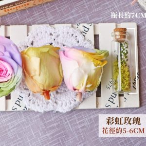 尺寸_彩虹玫瑰 拷貝