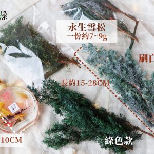 尺寸_永生雪松