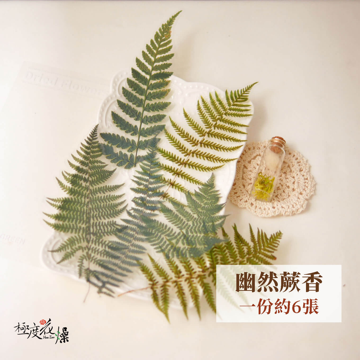 幽然蕨香_透明貼紙