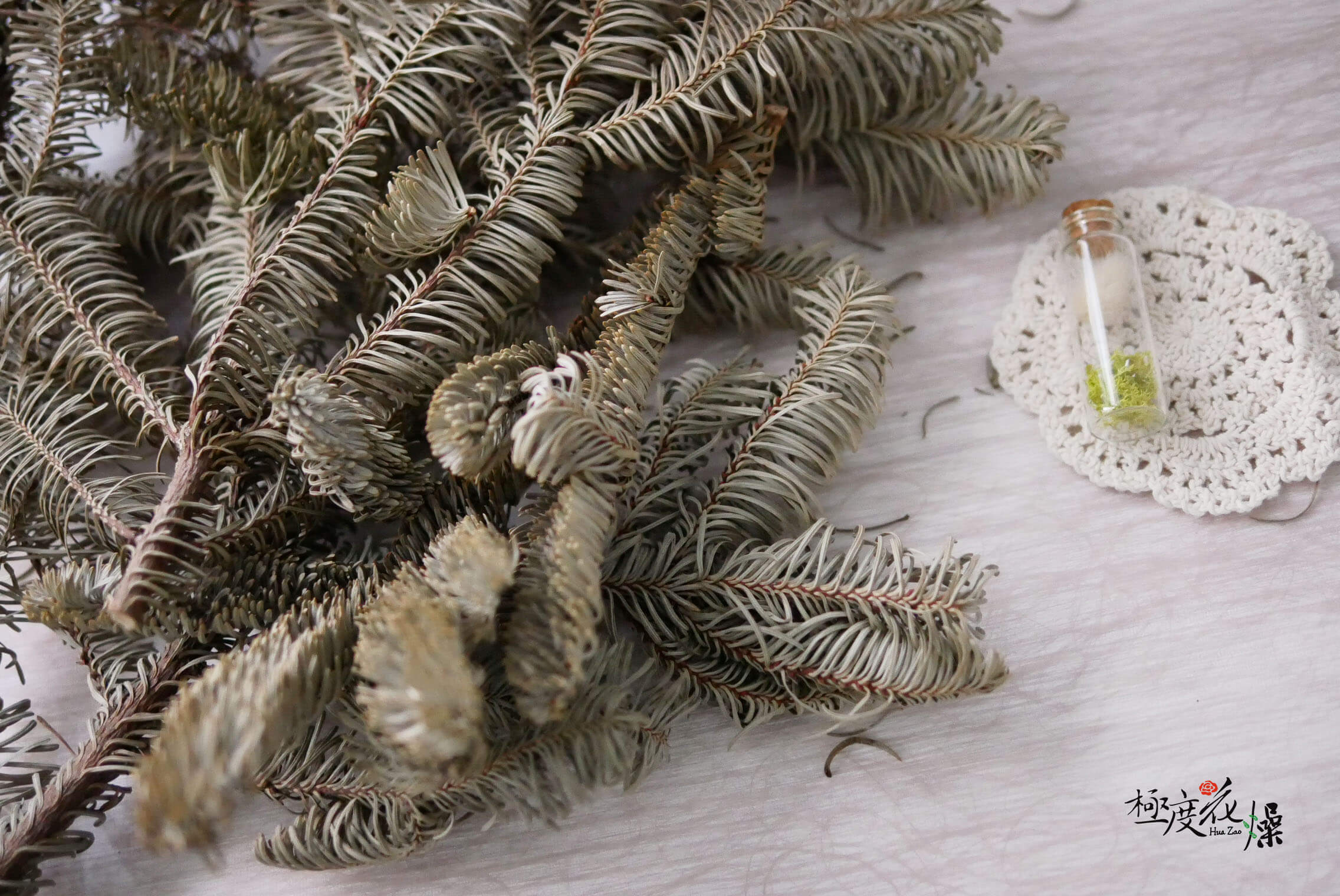 復古補圖_佛瑞澤冷杉 拷貝 復古補圖_佛瑞澤冷杉 拷貝