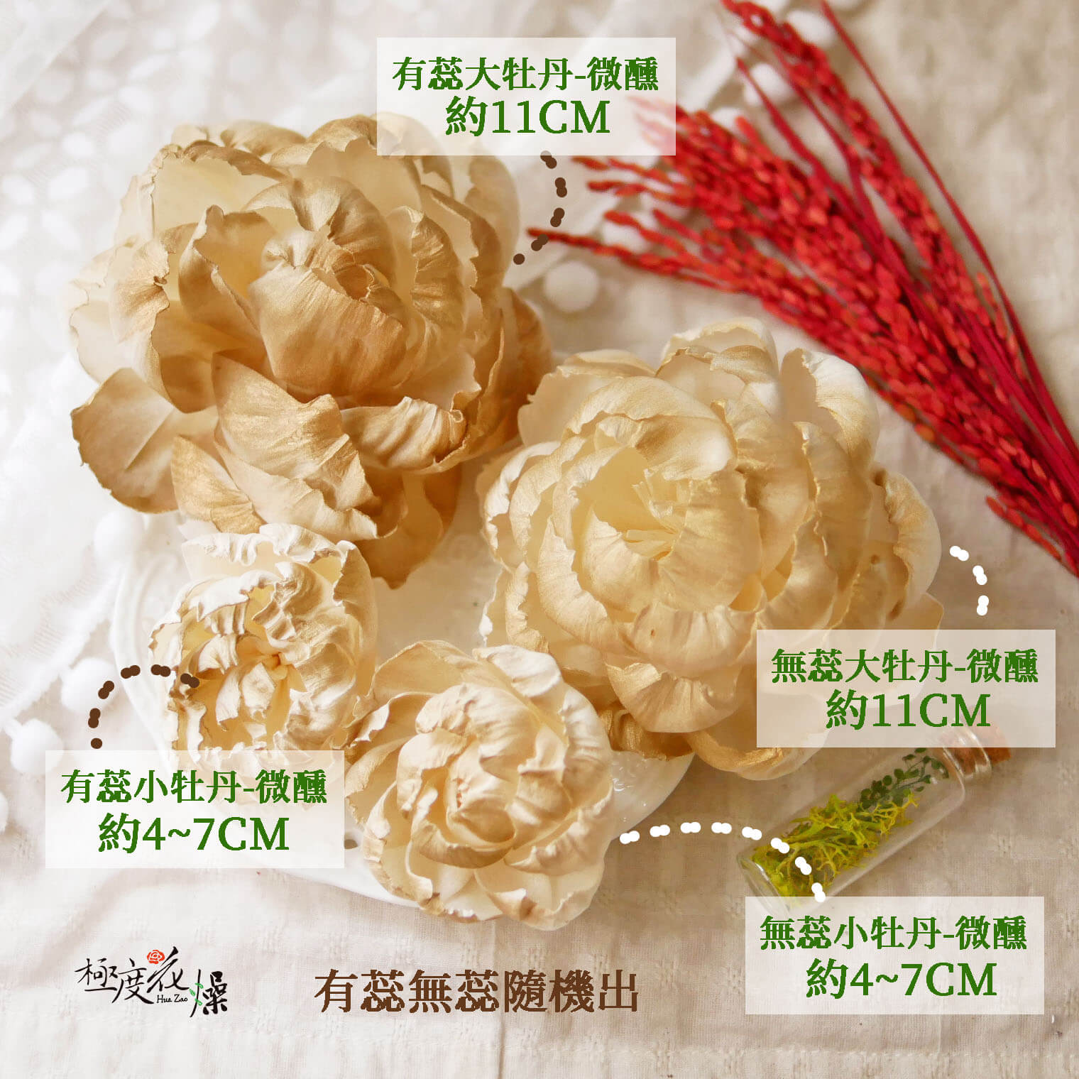 微醺_蓪草牡丹 拷貝
