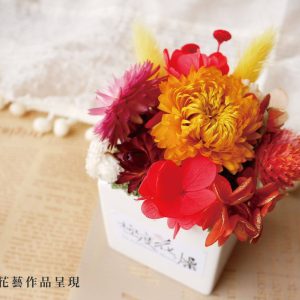 成品_乾燥麥桿菊
