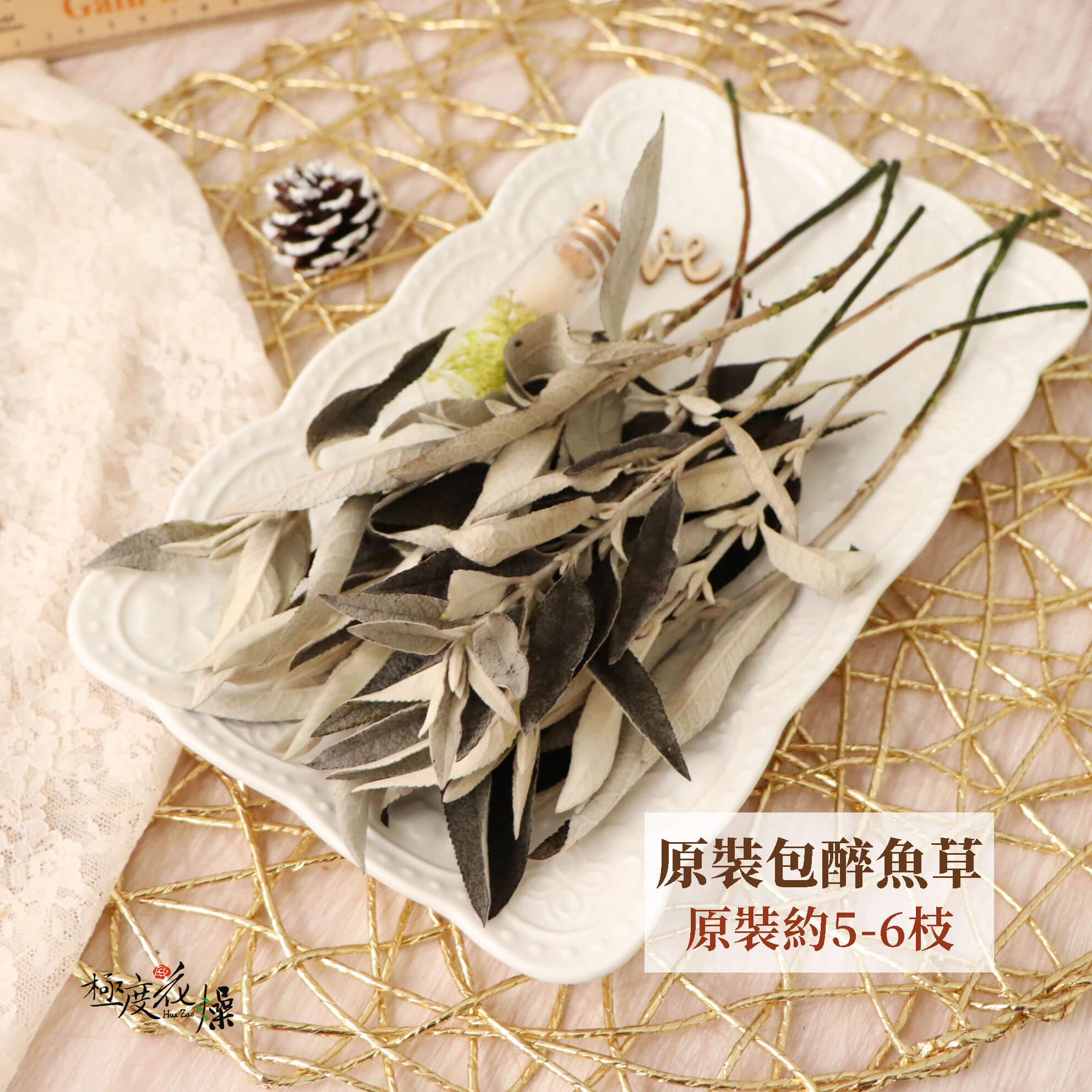 整包單選_永生醉魚草 拷貝